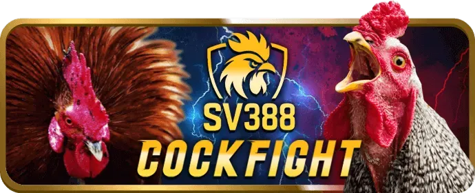 Khuyến mãi chào mừng người chơi mới bắn cá 456win